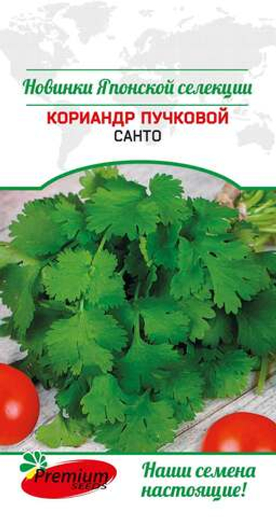 Кориандр пучковой Санто