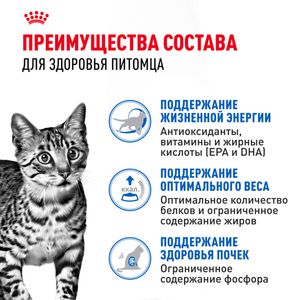 Пауч Royal Canin Indoor Sterilized 7+ для кошек в возрасте от 7 до 12 лет, живущих в помещении, небольшие кусочки в желе