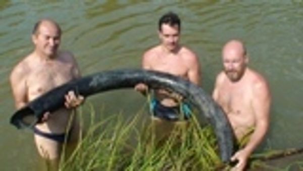 Как мы охотились на мамонтов в Абатском районе