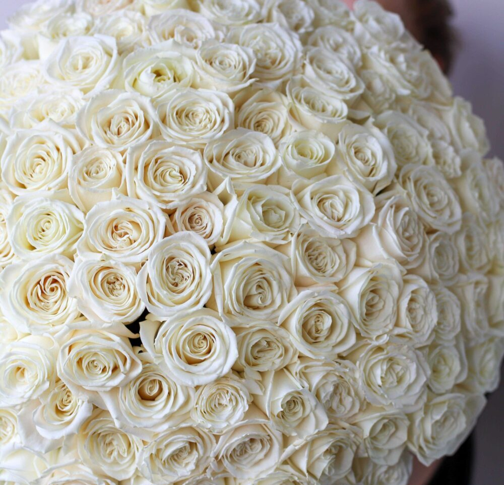 Букет из 101 белой розы Premium