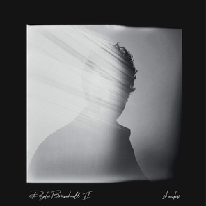 Doyle Bramhall II / Shades (2LP)