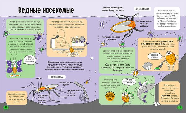 Насекомые и не только