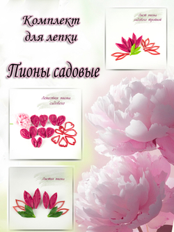 Комплект для лепки садовых пионов