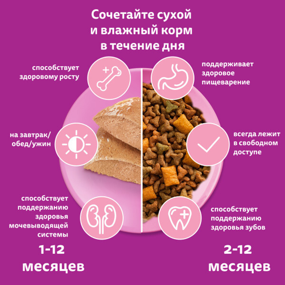 Влажный корм для котят Whiskas паштет из курицы 75 г
