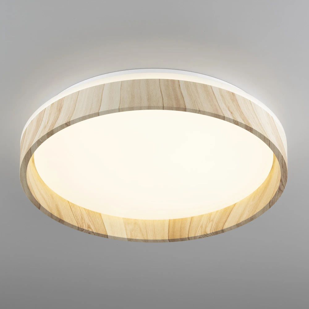 Citilux ENZO CL753352G LED RGB Светильник с пультом Клён