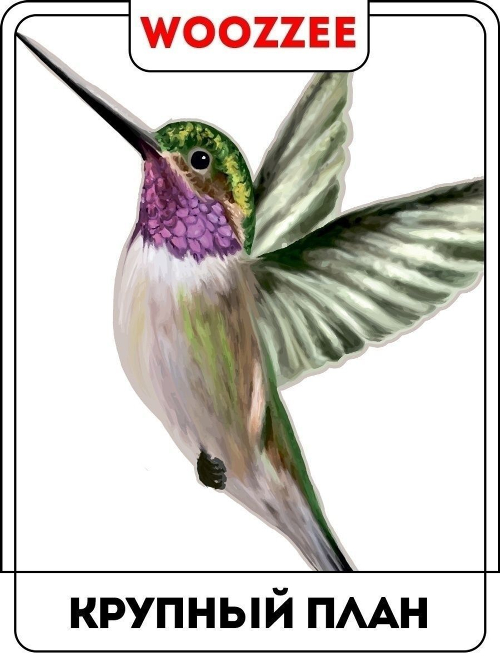 Наклейка декоративная "Цветы и колибри"