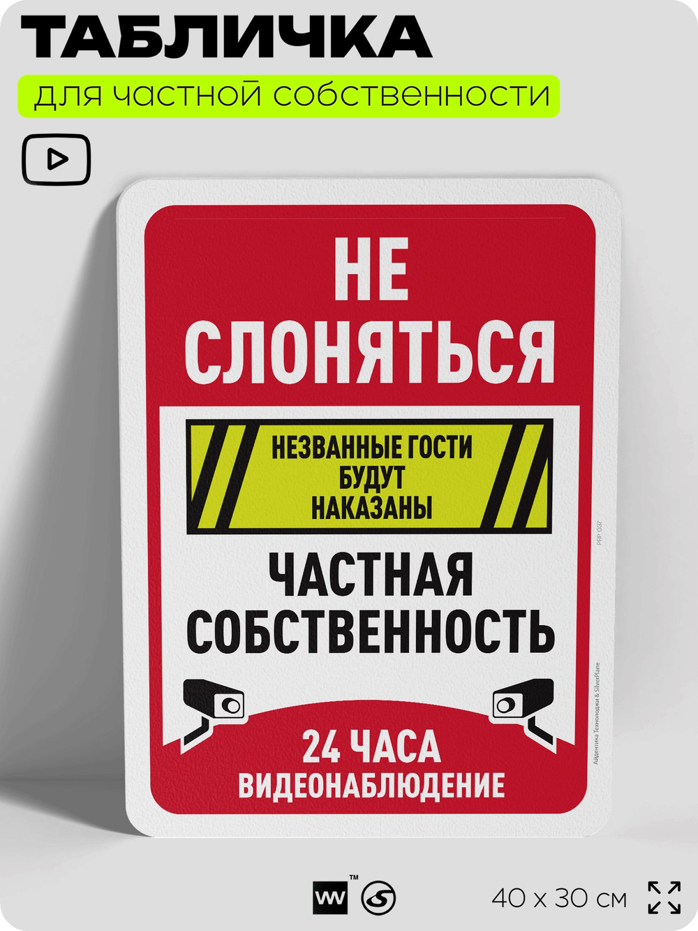 Табличка для частной территории "Не слоняться, частная собственность, видеонаблюдение 24 часа", на дом, для участка, предупреждающая, 40х30 см, Silver Plane x Айдентика Технолоджи