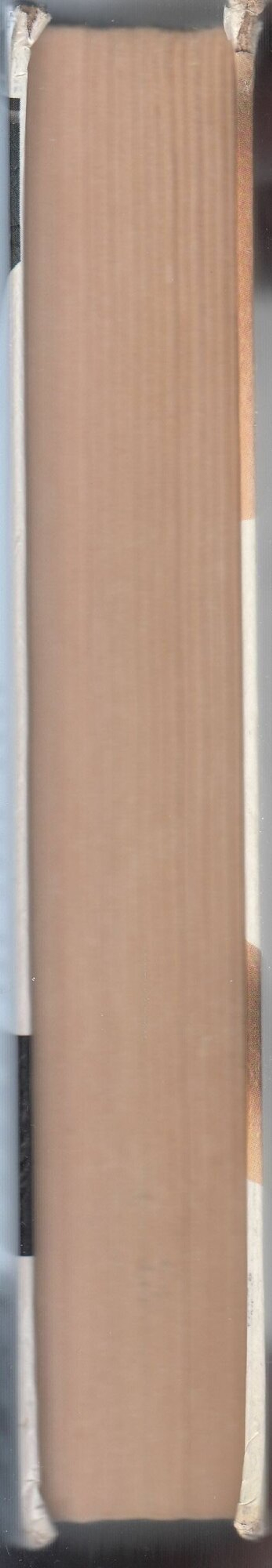 The Телки. Повесть о ненастоящей любви