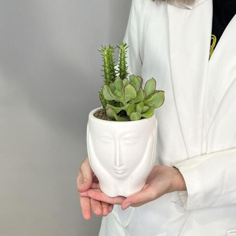 Композиция из суккулентов «Лори»