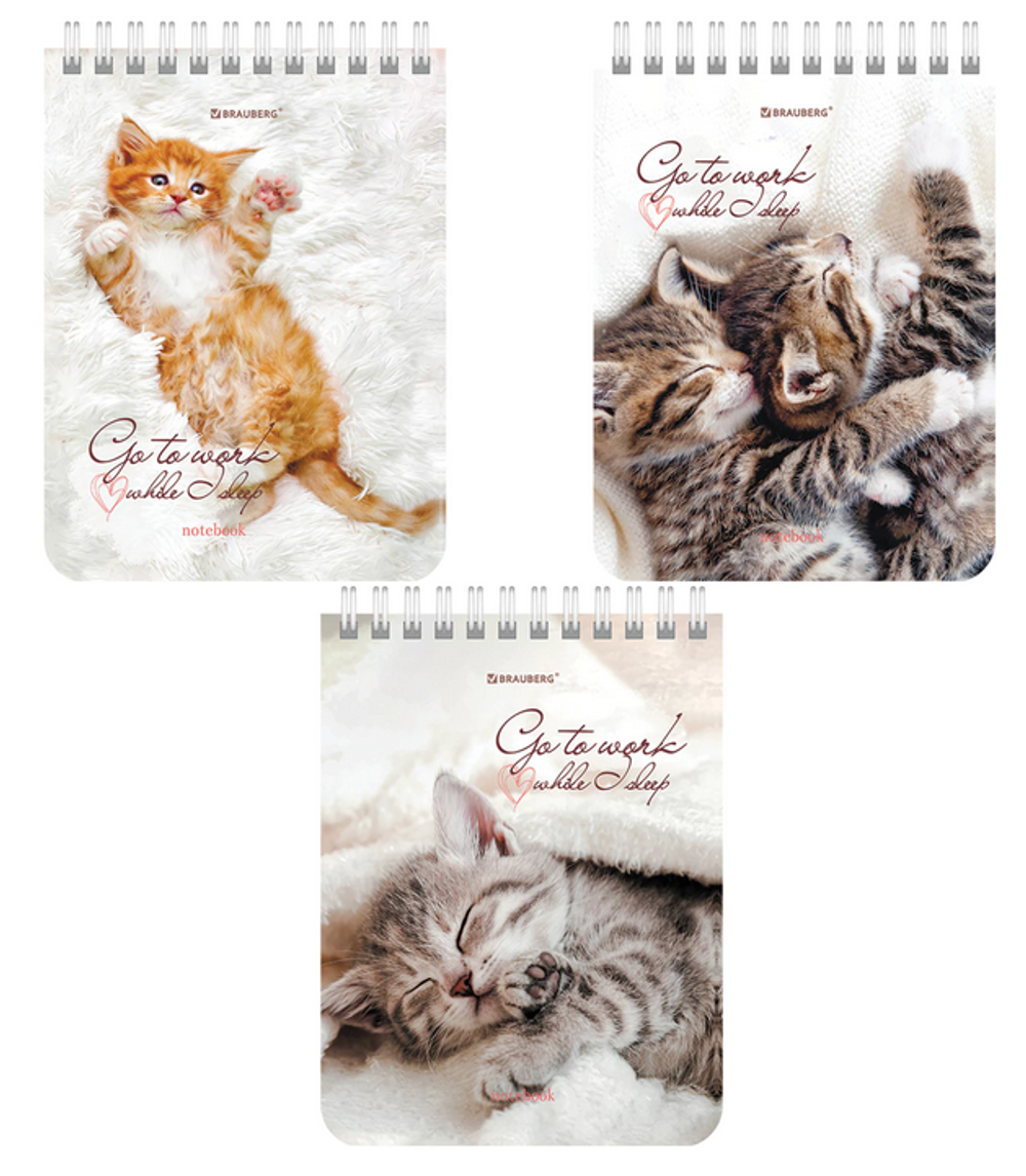 Блокнот А6 40л. клетка "Идеальный офис" гребень, картон (BRAUBERG)