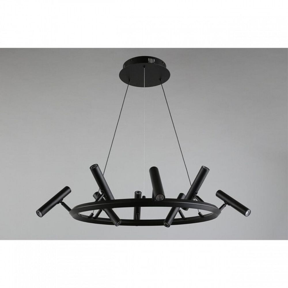 Подвесная люстра Aployt Honor APL.067.03.40