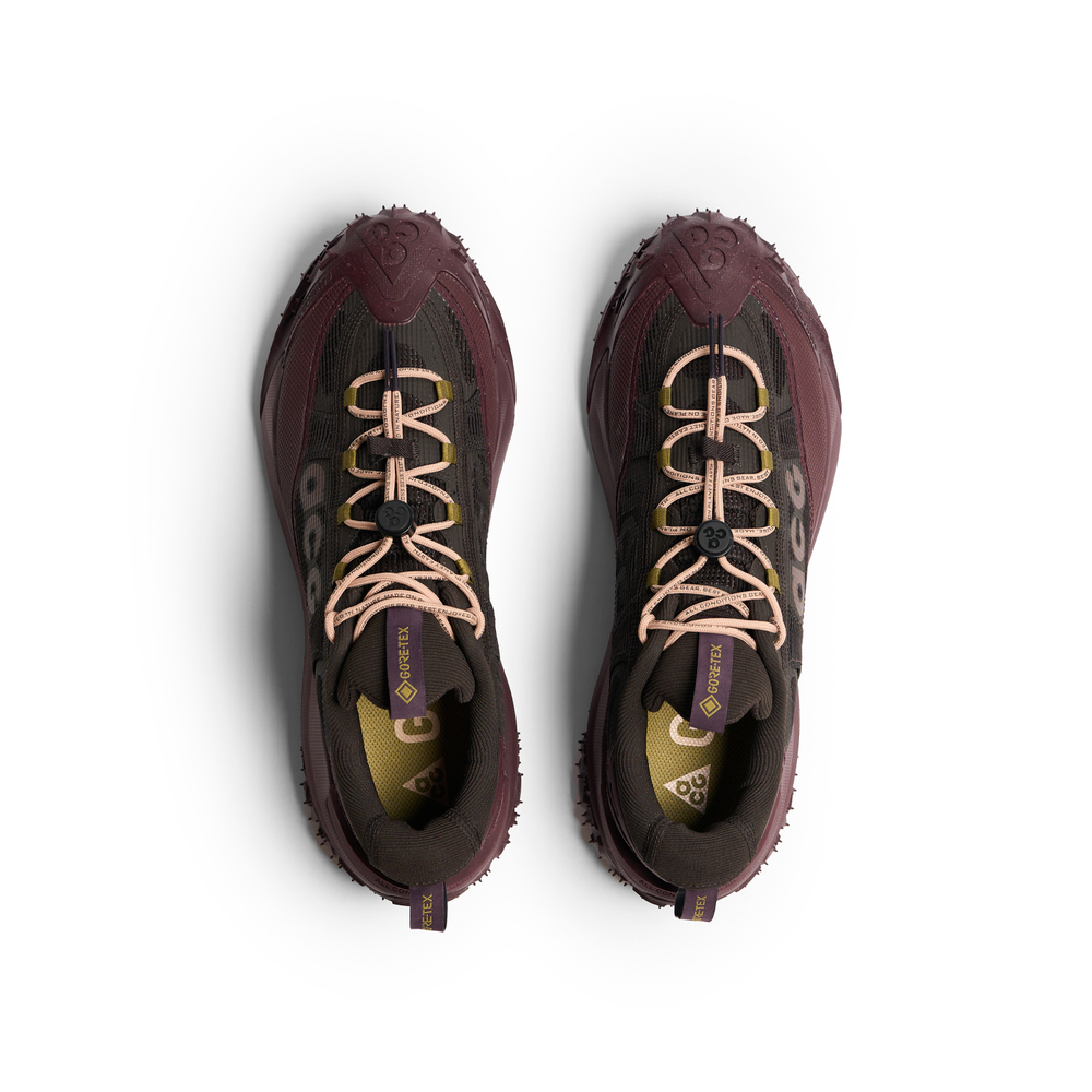 Nike ACG Mountain Fly 2 Low GORE-TEX "Velvet Brown/Burgundy Crush/Hemp/Black"
