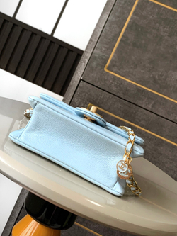 Chanel Bag (3 sizes)