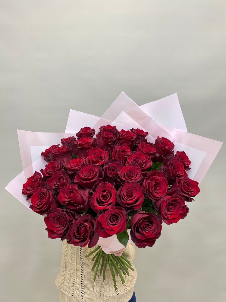 Букет 35 красных роз Эквадор 50см в ленте