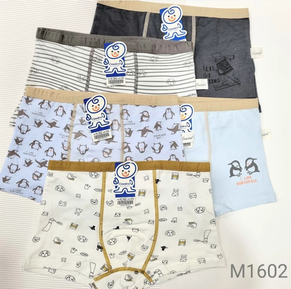 Боксер МАЛЬЧИК М1602