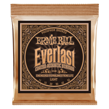 Струны для акустической гитары ERNIE BALL 2548 Everlast Coated Phosphor Bronze Light 11-52