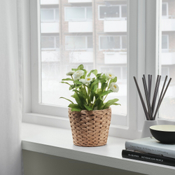 IKEA FRIDFULL  (ИКЕА ФРИДФУЛЛ)  -  Крышка для горшка, Водяной гиацинт, 12 см