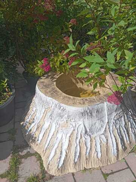 Пень кашпо березовое (U07452)