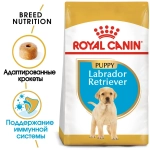 Корм сухой для щенков лабрадор ретривер до 15мес. Royal Canin Labrador Retriever Puppy, 3кг