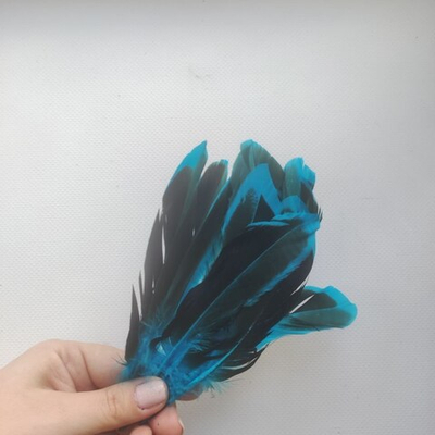 Перья кряквы голубые 2 сорт 10 шт.