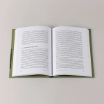 Власть в погонах