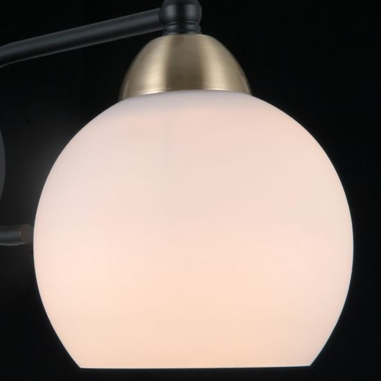 IL0249-8CSQ-79 BK AB светильник потолочный