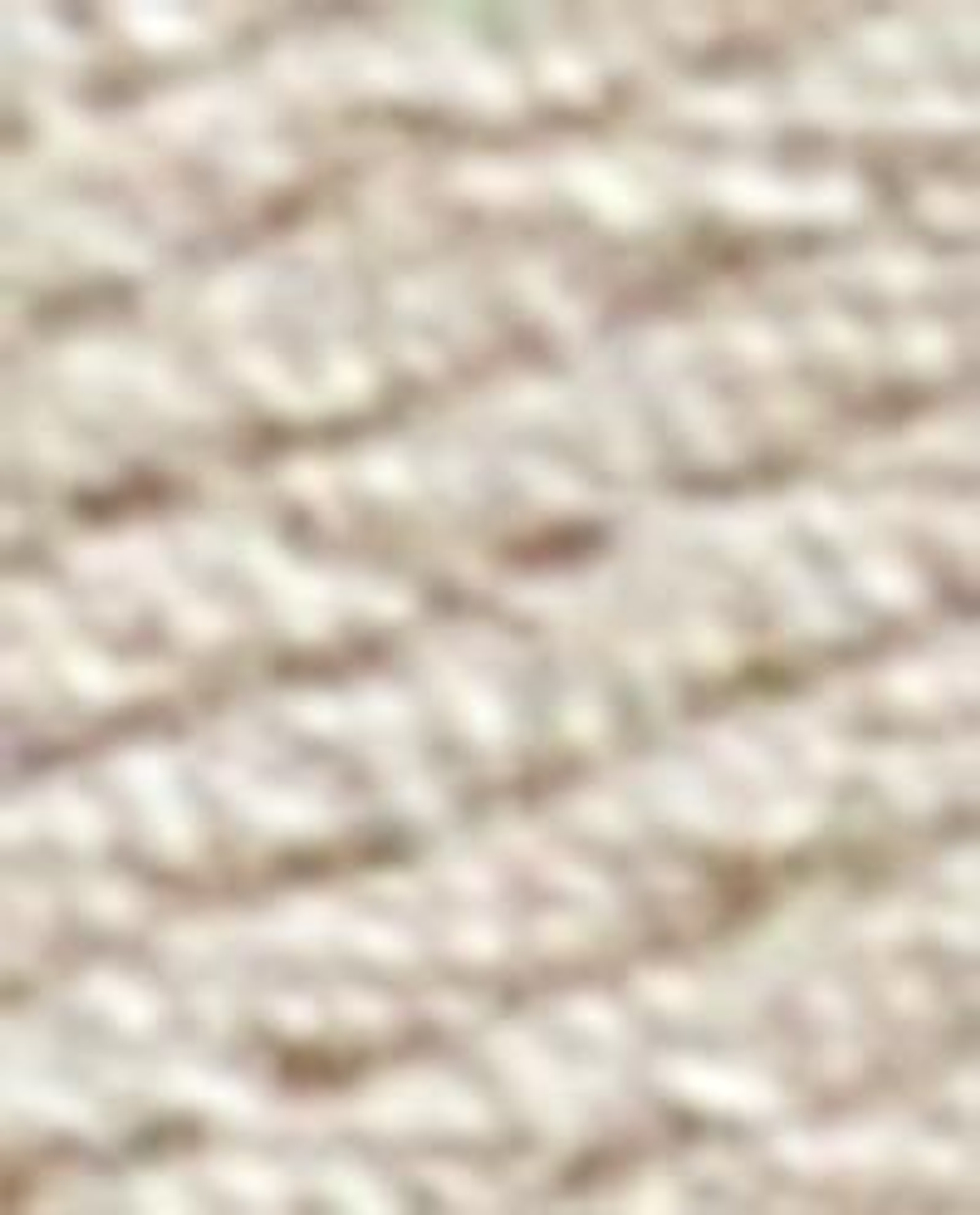 Термонаклейка Zara Home, хлопок, 8356/149