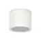 Уличный потолочный светильник Arte Lamp PIAUTOS A1913PF-1WH