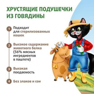 Лакомство Ферма кота Федора для кошек и котят, хрустящие подушечки с паштетом из говядины