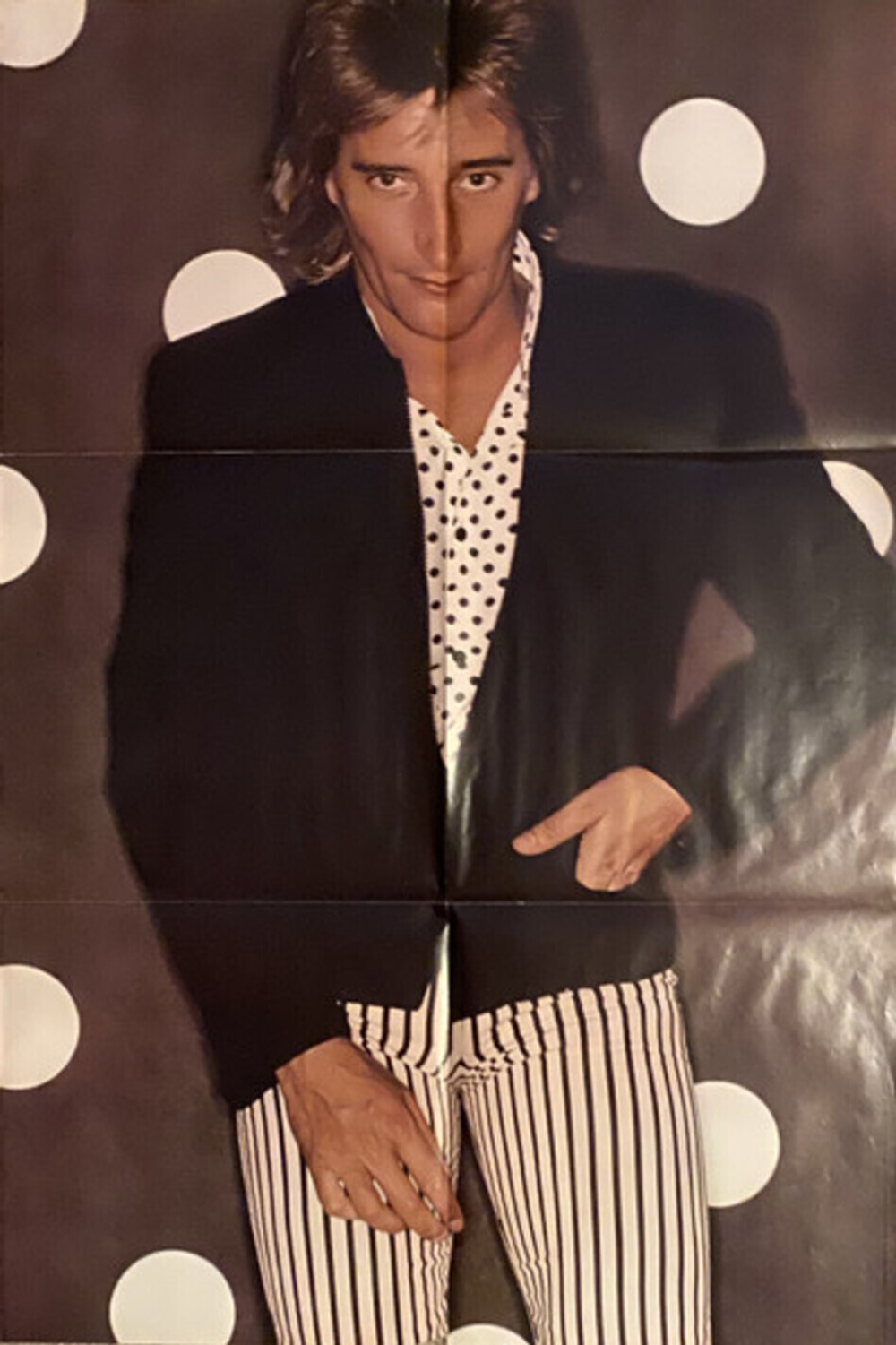 Rod Stewart / Foolish Behaviour (LP)