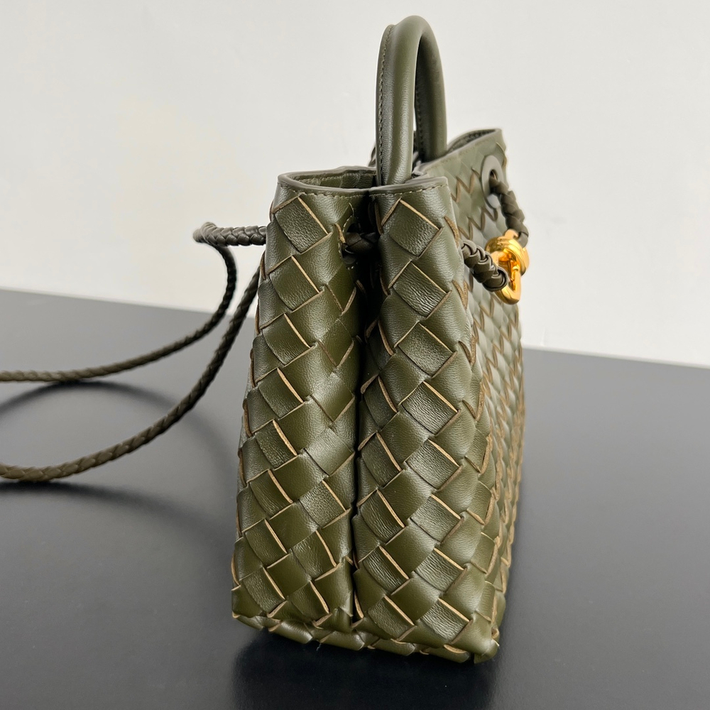 Bottega Veneta Small Andiamo 25 cm
