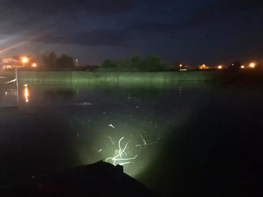 Aurora ALO-2-D1J w/o wire