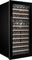 Холодильник винный Temptech OZ124DB