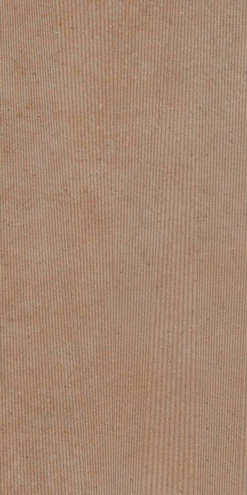 TASMANIA TIERRA 60X120 REC.