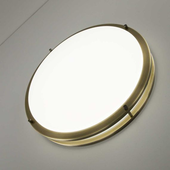 Потолочный светодиодный светильник Citilux Бостон CL709503N