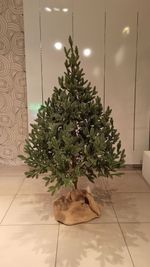 Искусственная ель на ножке «Датская» (хвоя Литая) 150 см / 1.5 м