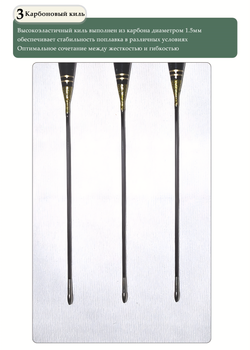 Narooye Amaranthe solid