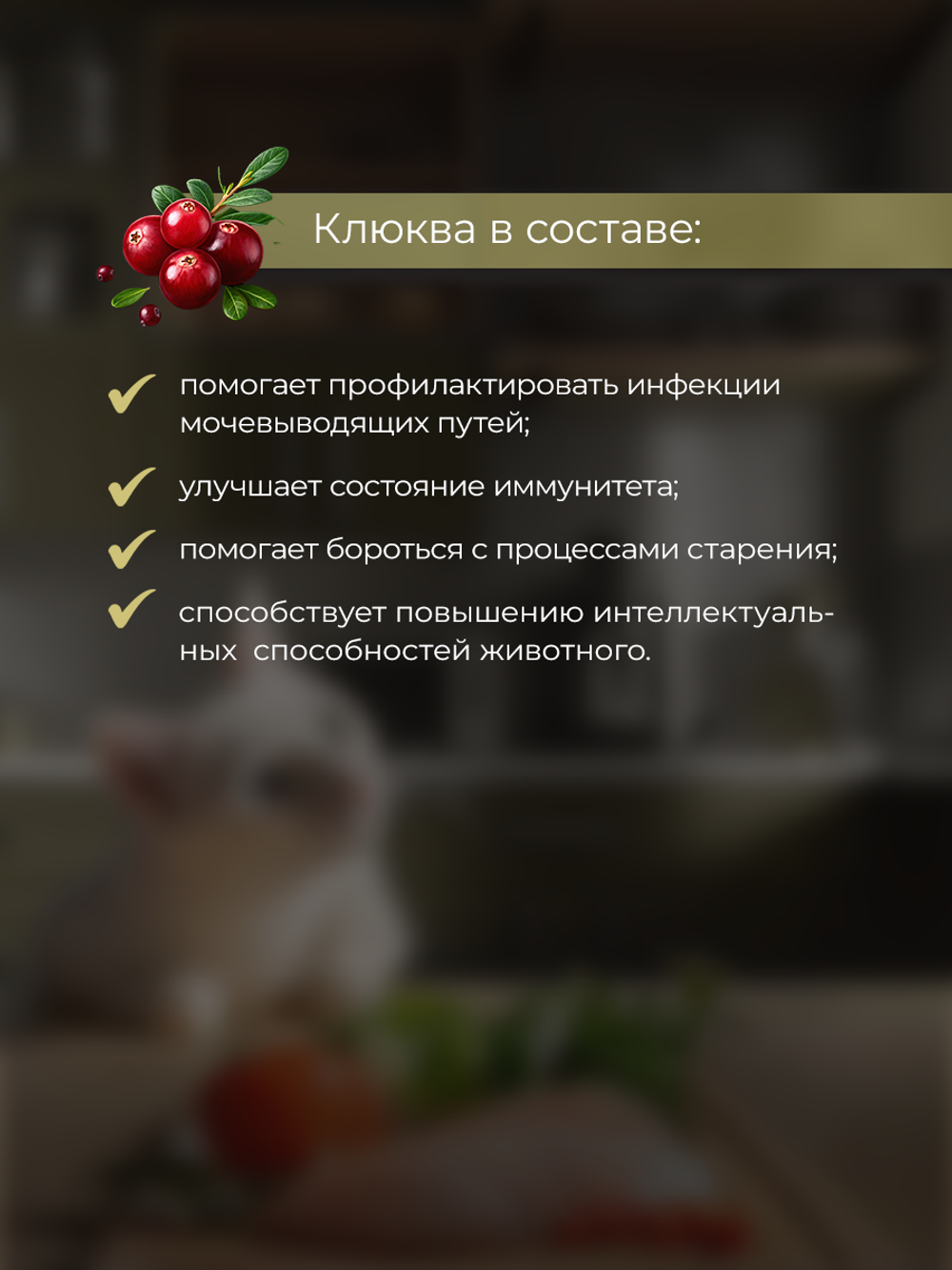 НАБОР Консервы DELISH Super Premium для кошек, курица/овощи/клюква - 10 шт х 80 гр