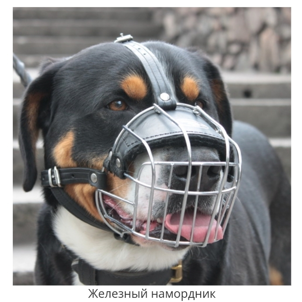 НАМОРДНИК МЕТАЛЛИЧЕСКИЙ (М4)