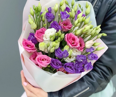 Лучшее предложение дня