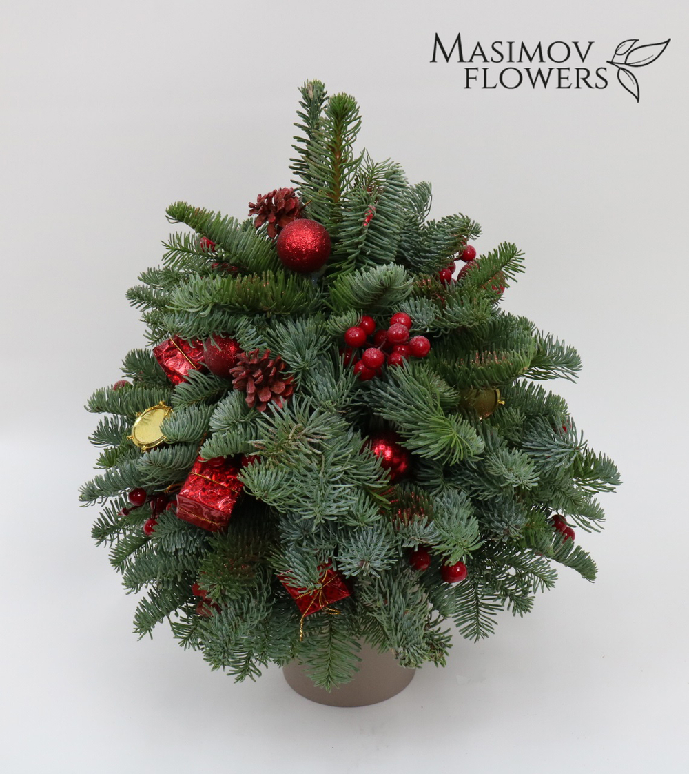 Ель "Дюймовочка в красном"