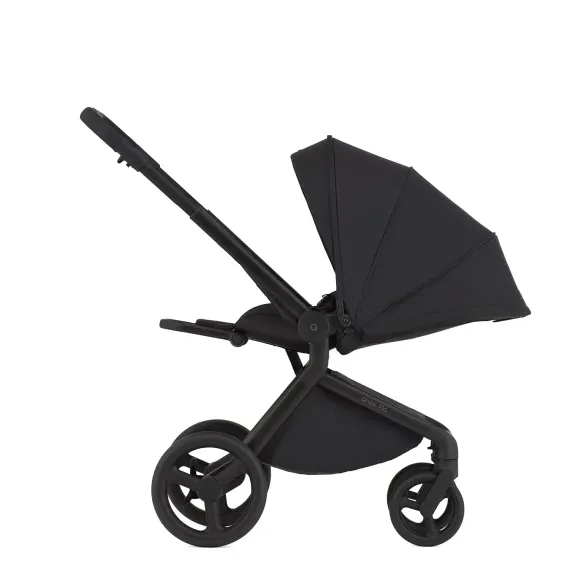 Коляска 2 в 1 ANEX Flo Lungo