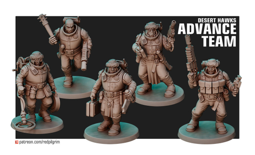 Astra Militarum Tallarn Desert RaidersТалларнский  Гвардеец сапёр, медик, штурмовик с дубинкой, ветеран, благочестивый боец 1шт.   миниатюра для AOS,Waha, Настольная игра, НРИ, Варгейм, РПГ