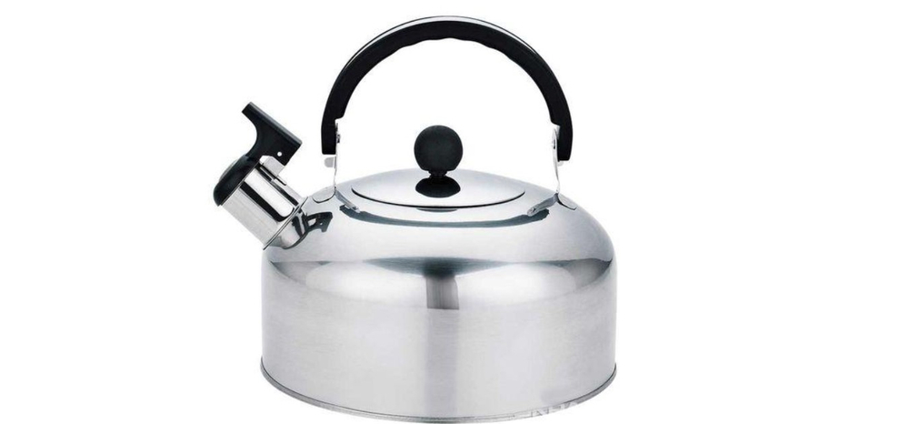 Чайник CASUAL со свистком 2л.