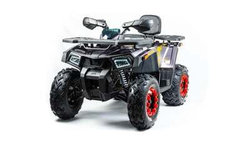 Квадроцикл MOTOLAND 200 WILD TRACK X PRO (2022)