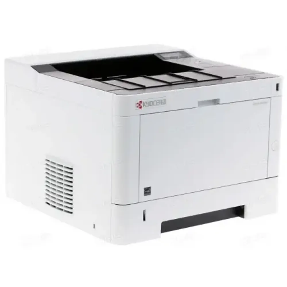 Принтер лазерный KYOCERA P2040dw (1102RY3NL0)