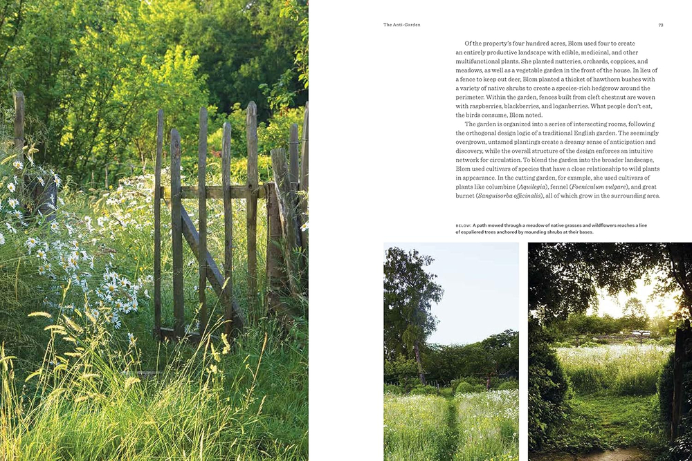Beyond the Garden: Designing Home Landscapes with Natural Systems