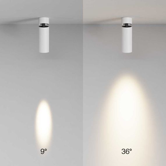 Потолочный светильник Maytoni Technical C055CL-L12W3K-SS-W