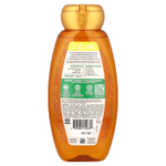 Garnier, Whole Blends, шампунь для придания блеска, «Экстракты масел камелии и марокканской арганы», 370 мл