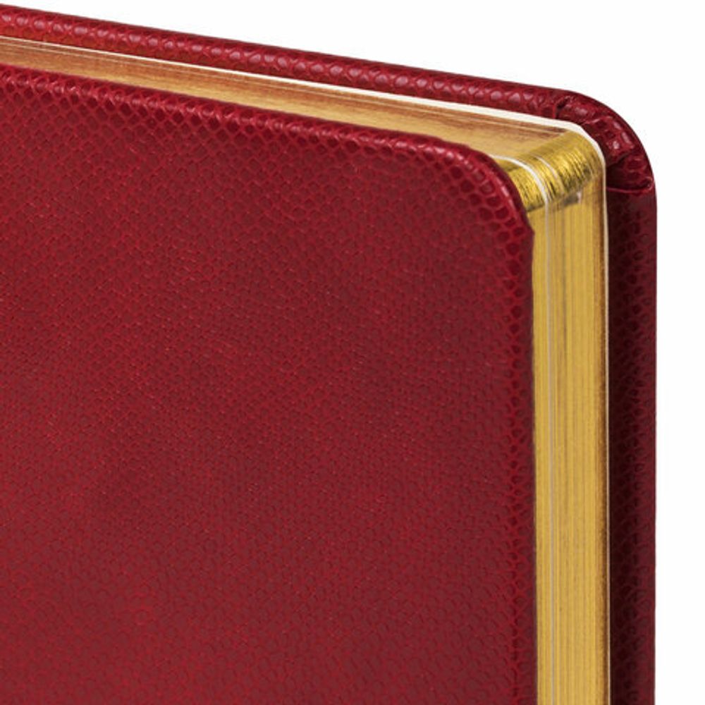 Ежедневник недатированный МАЛЫЙ ФОРМАТ 100x150 мм А6 BRAUBERG "Iguana", под кожу, 160 л., красный, 114468